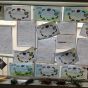 P4 McIlroy Investigate Minibeasts